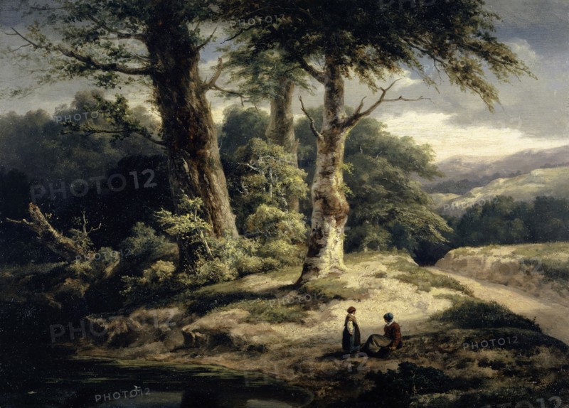 Forest landscape, 1840-1845, oil on oak wood, 39 x 53.7 cm, Alexandre Calame, Vevey 1810–1864 Menton