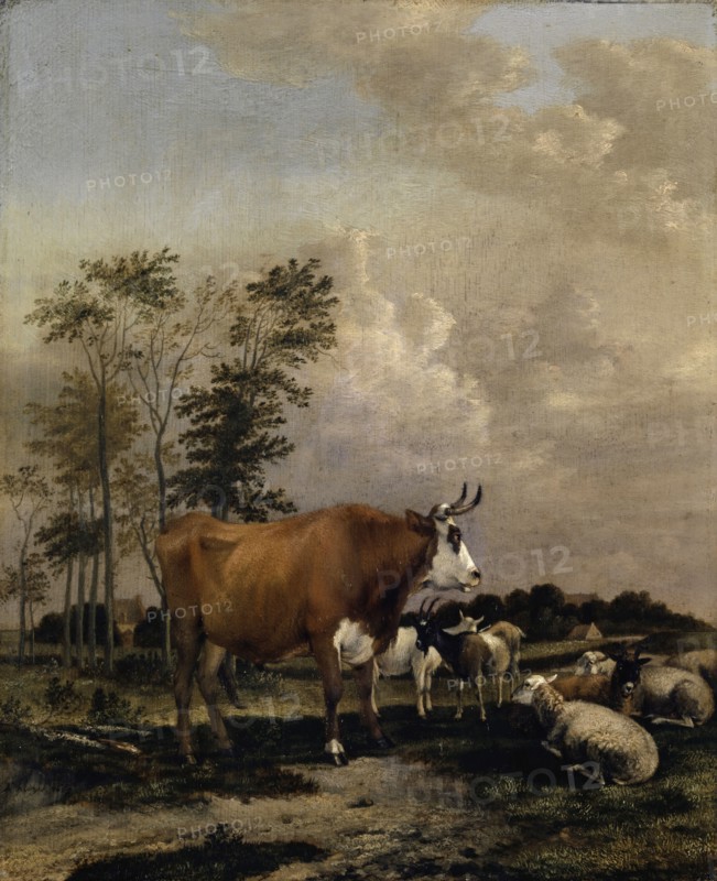 Pasture with brown bull, 1663, oil on oak, 42.5 x 34.5 cm, signed and dated lower left: A. Klomp f., 1663, Albert Jansz. Klomp, Amsterdam um 1618–1688 Amsterdam