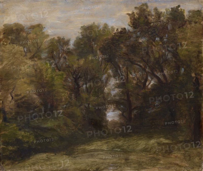 Forest edge with view, oil on board, 26 x 30.5 cm, not marked, Barthélemy Menn, Genf 1815–1893 Genf