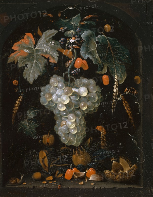 Still Life with Grape and Fruit in a Niche, Oil on Limewood, 47.2 x 36.8 cm, Signed Lower Left (in Red, possibly Wrong): A. Mignon: fc, Abraham Mignon, Frankfurt a. M. 1640–1679 Utrecht