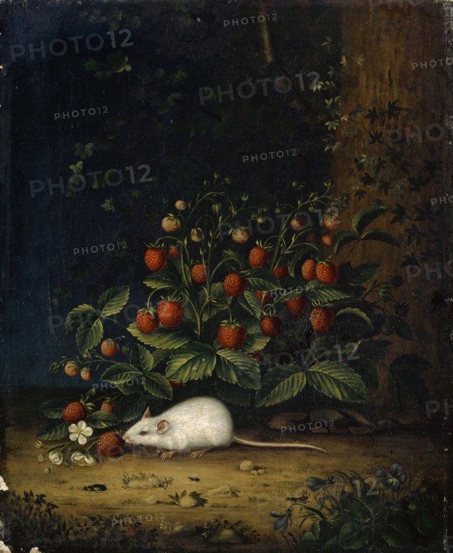 Strawberries with Mouse, 19th C.?, Oil on canvas, 27.5 x 22.5 cm, unspecified, Maria Sibylla Merian, (Nachahmer / imitator), Frankfurt a. M. 1647–1717 Amsterdam