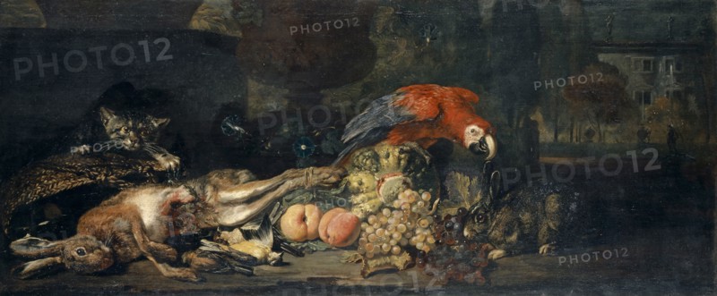 Still Life with Wild and Fruit, Parrot, Rabbit and Cat, Oil on Canvas, 62.5 x 148.5 cm, Not Specified, David de Coninck, Antwerpen um 1644–nach 1701 Brüssel
