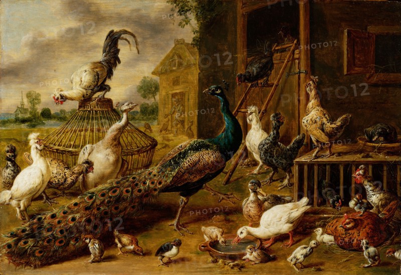 Poultry yard, 1650, oil on oak, 39 x 60 cm, signed and dated right below the window: Adriaen van Uytrecht fecit at ° 1650, Adriaen van Utrecht, Antwerpen 1599–1652 Antwerpen