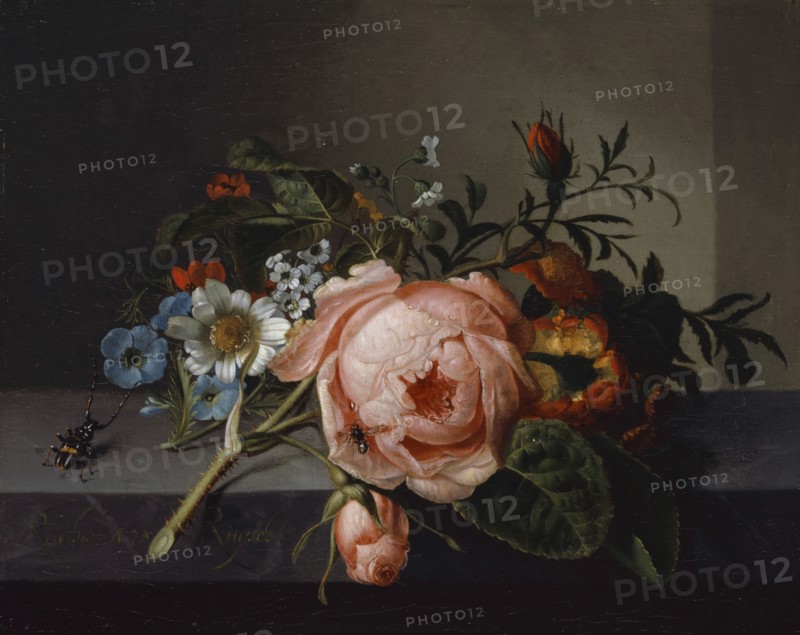 Still Life with Rose Branch, Beetle and Bee, 1741, oil on canvas, mounted on oak, 20 x 24.5 cm, signed and dated on the front edge of the stone plate on the left: Rachel., AE [ligated] 78 Ruysch, Rachel Ruysch, Amsterdam 1664–1750 Amsterdam