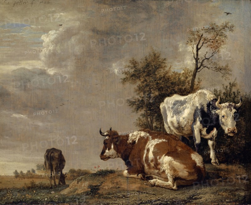 Three cattle in the pasture, 1646, oil on oak, 25.2 x 31.3 cm, Signed and dated top left: Paulus Potter f 1646, Paulus Potter, Enkhuizen 1625–1654 Amsterdam