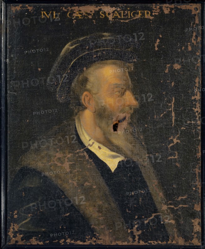 Portrait of Julius Caesar Scaliger, oil on canvas, 79 x 64 cm, not specified., Top: IVL [IUS] • CAES [AR] • SCALIGER •, Schweizerischer Meister, 17. Jh.