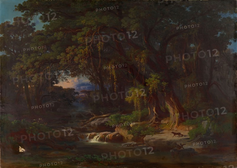 Forest landscape in the Roman mountains, oil on canvas, 123.7 x 173 cm, not specified, Johann Jakob Frey, Basel 1813–1865 Frascati