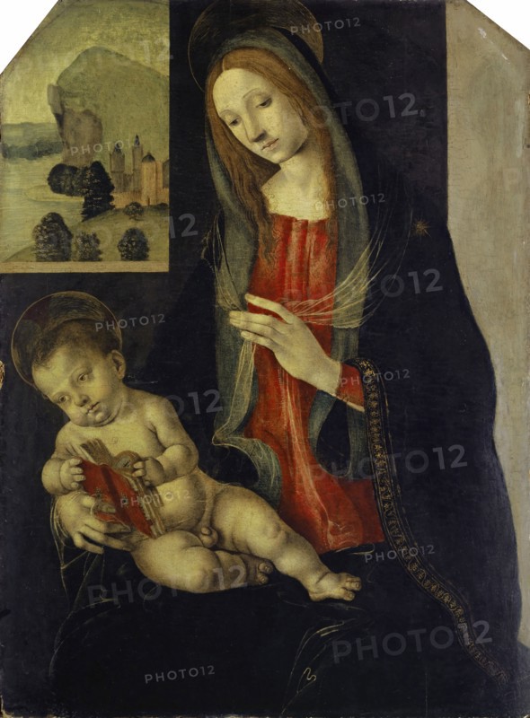 Madonna with Child, mixed media on wood, 80 x 59.5 cm, not specified, Filippino Lippi, (Schule / school), Prato um 1457–1504 Florenz