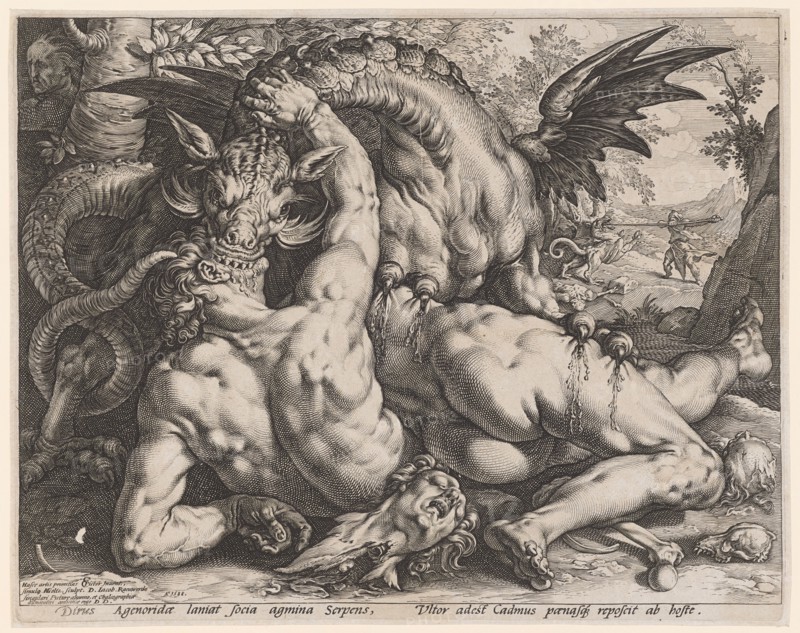 The Dragon Kills the Cadmus's Companions, 1588, Copperplate, Plate: 25.4 x 32.1 cm |, Leaf: 25.8 x 32.5 cm, U. l., inscribed: Hasce artis primitias CC [lig.] Pictor Inuent., simulq [ue] HGoltz., [HG lig.] Sculpt., D. Jacob., Raeuwerdo, singulari Pictur [a] e alumno, et chalcographiæ, admiratori amicitæ ergo D. D ., r., Dated: A ° 1588, inscribed under the image field: Dirus Agenoridæ laniat socia agmina serpens, Vltor adest cadmus pœnasq [ue] reposcit ab hoste., Hendrick Goltzius, Stecher, Mühlbrecht 1558–1617 Haarlem, Cornelis Cornelisz. van Haarlem, Inventor, 1562–1638