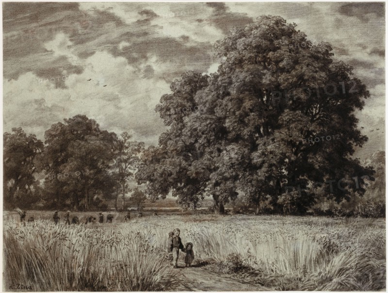 The harvest, around 1859 or around 1880, charcoal, wiped, partial background (brown and white) on gray-blue mottled paper, folia: 41.2 x 54.4 cm, U. l., signed with charcoal: R. Zünd, Robert Zünd, Luzern 1827–1909 Luzern