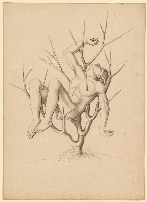 Martyr, impaled in thorn bush, feather in black, gray wash, sheet: 21.5 x 15.4 cm, unsigned, Jörg Schweiger, (zugeschrieben / attributed to), Augsburg 1470/80 –1533/34 Basel