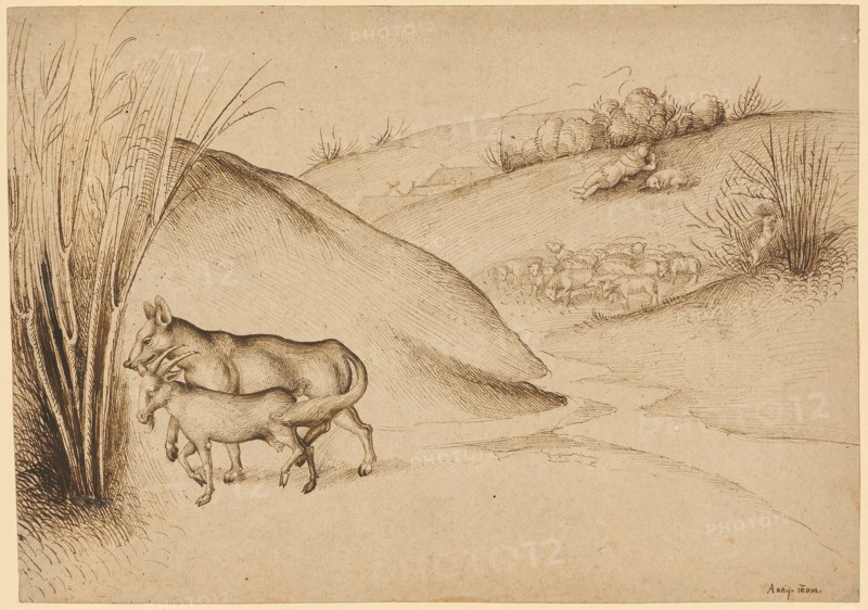 Illustration of a fable: The wolf and the goat, feather in brown, mounted, sheet: 19.6 x 27.7 cm, Unmarked, Ludwig Schongauer, Colmar um 1440–1493/1494 Colmar