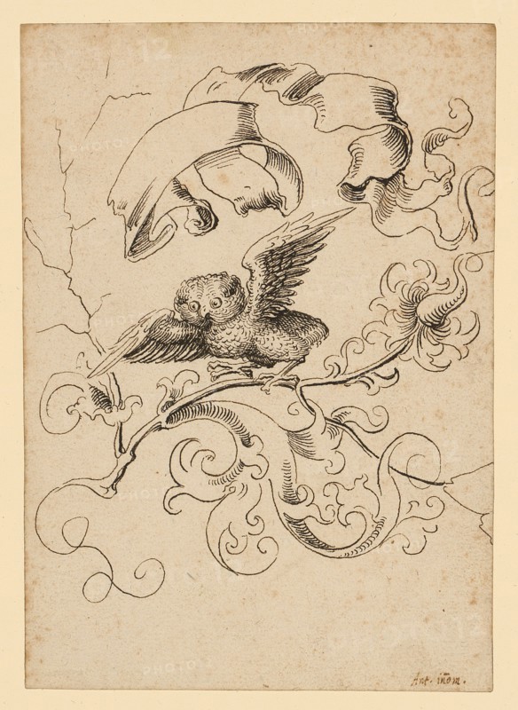 Young owl on flower branch, above a blank banner, c. 1500, pen in black, Journal: 15.2 x 10.7 cm, Not marked, Anonym, Oberrhein, um 1500