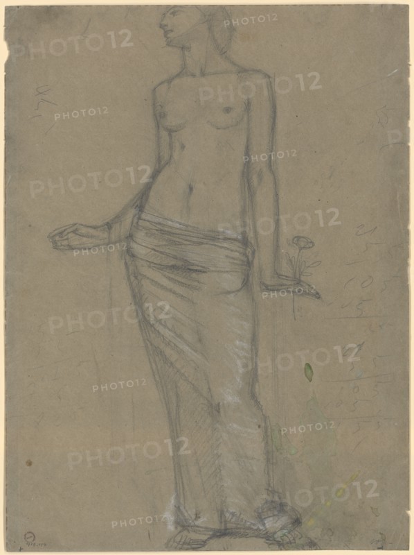 Frontal, female half act, pencil, heightened with white on gray paper, page: 39.6 x 20.3 cm, on the right edge with pencil calculations, Hans Brühlmann, Amriswil/Thurgau 1878–1911 Stuttgart