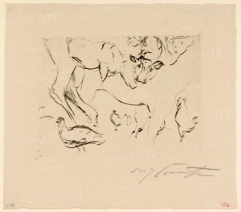 Animal sketches (cows, chickens), drypoint, sheet: 20.3 x 23 cm |, Plate: about 12 x 16 cm, R. under the illustration signed in pencil: Lovis Corinth, Lovis Corinth, Tapiau/Ostpreussen (heute Gwardjesk, Russland) 1858–1925 Zandvoort