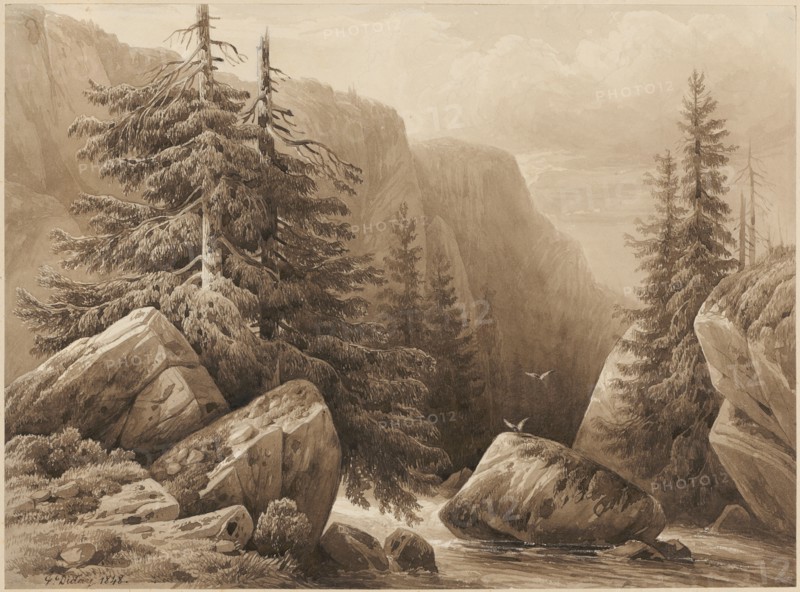 Mountain stream between rocks, 1848, pencil, brush in brown, washed, opaque white, leaf: 23.6 x 32 cm, U. r., Signed and dated in brown with pen: F. Diday 1848., François Diday, Genf 1802–1877 Genf