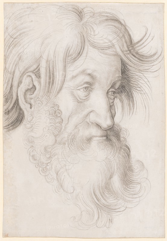 Head of a Bearded Man, to the right, Black Chalk, Leaf: 31.6 x 21.9 cm, Not referenced, Hans Baldung gen. Grien, (Werkstatt / workshop), Schwäbisch Gmünd (?) 1484/85–1545 Strassburg