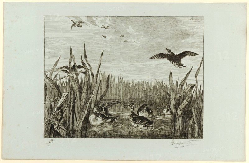 Sarcelles, 1853 (print 1900/1914), etching on bluish paper, 5th condition (of five), Edition 100 Ex. (Tirage Keppel), sheet: 28.8 x 44.4 cm |, Plate: 22.4 x 29.1 cm, in the plate o.r., signed: Bracquemond, l, ., monogrammed under the illustration: B ., r., Signed in pencil: Bracquemond, Félix Bracquemond, Paris 1833–1914 Sèvres