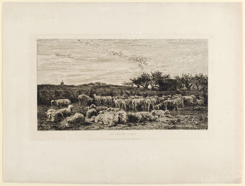 Le grand parc a moutons, le matin, (1860/62), etching, III, IV, sheet: 36.2 x 48 cm |, Plate: 21.9 x 38 cm |, Picture: 18.4 x 34.3 cm, Charles-François Daubigny, Paris 1817–1878 Paris