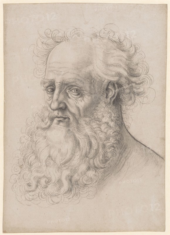 Head of a bearded man, left, black chalk, partially wiped, sheet: 31.4 x 22.4 cm, unsigned, Hans Baldung gen. Grien, (Werkstatt / workshop), Schwäbisch Gmünd (?) 1484/85–1545 Strassburg
