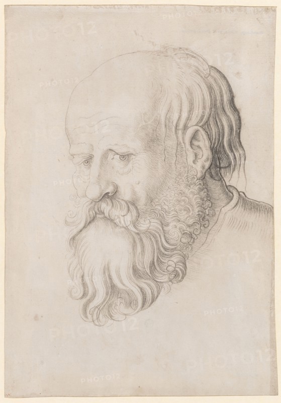 Head of a bearded man, left, black chalk, partially wiped, sheet: 31.8 x 22.2 cm, unsigned, Hans Baldung gen. Grien, (Werkstatt / workshop), Schwäbisch Gmünd (?) 1484/85–1545 Strassburg