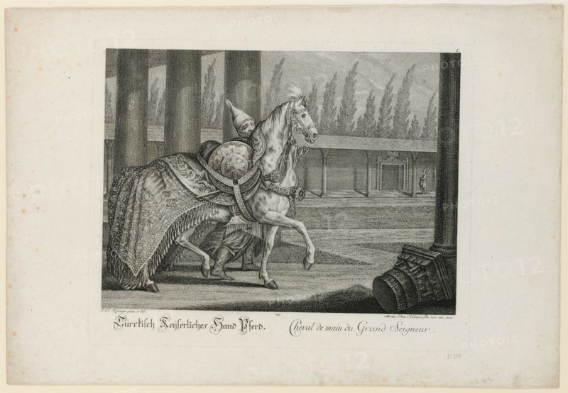 Türckisch Keyserliches Hand Horse, 1741, copperplate, sheet: 35.5 x 51.4 cm |, Plate: 28.5 x 38.4 cm, in the plate o. R., numbered: I ., u, ., l, ., designated: I. El., Ridinger pinx. Et del ., u, ., r .: Martin Elias Ridinger filio meo oeri incis ., under it designates: Turckisch Keyserliches hand horse., Cheval de main du Grand Seigneur., Johann Elias Ridinger, Zeichner, Ulm 1698–1767 Augsburg, Martin Elias Ridinger, Kupferstecher, Augsburg um 1730–1780 Augsburg