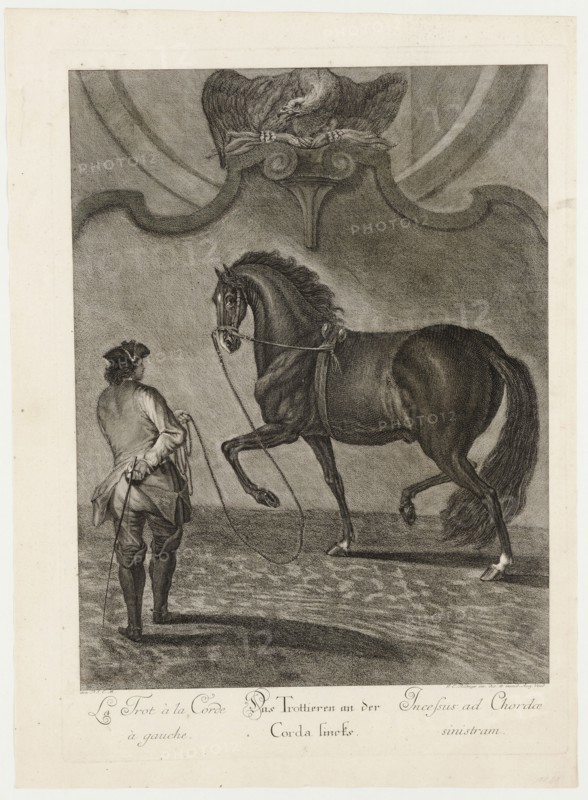 Trotting on the Corda left, 1734, etching, sheet: 60 x 43.5 cm |, Plate: 54.8 x 39.3 cm, U.l., below the illustration: avec P.S.C.M ., et al .: J. E. Ridinger inv. des. et excud., Aug. Vind., Johann Elias Ridinger, Ulm 1698–1767 Augsburg