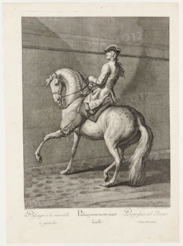 Passengers on the wall left, 1734, etching, sheet: 60.2 x 43.6 cm |, Plate: 54.5 x 39.4 cm, U.l., below the illustration: avec P.S.C.M ., et al .: J. E. Ridinger inv. des. et excud., Aug. Vind., Johann Elias Ridinger, Ulm 1698–1767 Augsburg