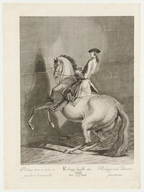 Redopp left on the wall, 1734, etching, sheet: 59.8 x 44 cm |, Plate: 54.5 x 39.2 cm, U.l., below the illustration: avec P.S.C.M ., u.r .: Joh. El., Ridinger inv. Des. Et exc., A. V., Johann Elias Ridinger, Ulm 1698–1767 Augsburg