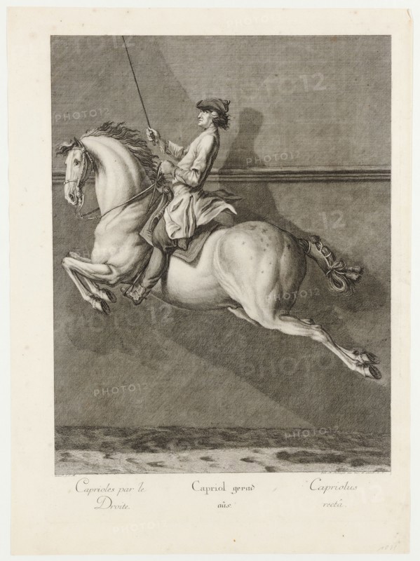 Capriole straight, 1734, etching, sheet: 59.8 x 43.8 cm |, Plate: 54.5 x 39.8 cm, U.l., below the illustration: avec P.S.C.M ., u.r .: Joh. El., Ridinger inv. Des. Et excud., A. V., Johann Elias Ridinger, Ulm 1698–1767 Augsburg