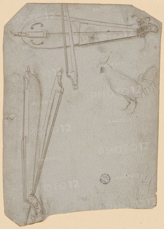 Sketch sheet with two stringed instruments and a rooster, silver pen, on white primed paper, Sheet: 13.1, 15.6 x 10.9 cm, Not specified, Hans Holbein d. Ä., Augsburg um 1460/65–1524
