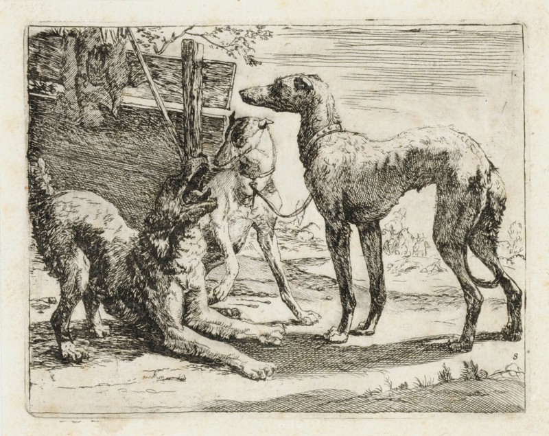 Three dogs in front of a fence, etching, sheet: 14.2 x 17 cm |, Plate: 11.5 x 14.7 cm, in the plate u., r., Numbered: 8, Nicolaes (Claes Pietersz.) Berchem, (?), Haarlem 1620–1683 Amsterdam