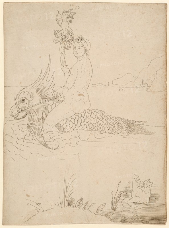 Venus on a Dolphin, Feather in Brown, Brown Washed, Journal: 30.1 x 22.1 cm, Unsigned, Albrecht Dürer, (Kopie nach / copy after), Nürnberg 1471–1528 Nürnberg