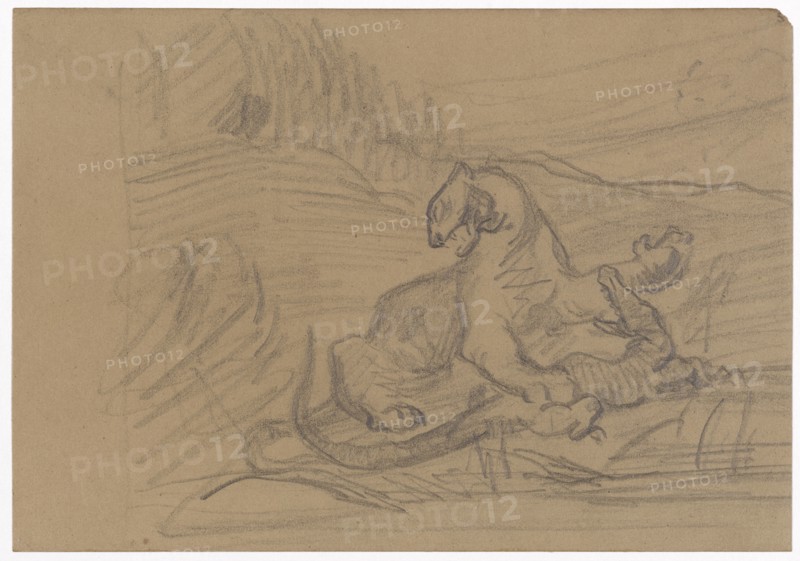 Wild Animal and Crocodile, 1866/69, pencil on brown paper, sheet: 12.5 x 17.9 cm, unmarked, Paul Cézanne, Aix-en-Provence 1839–1906 Aix-en-Provence