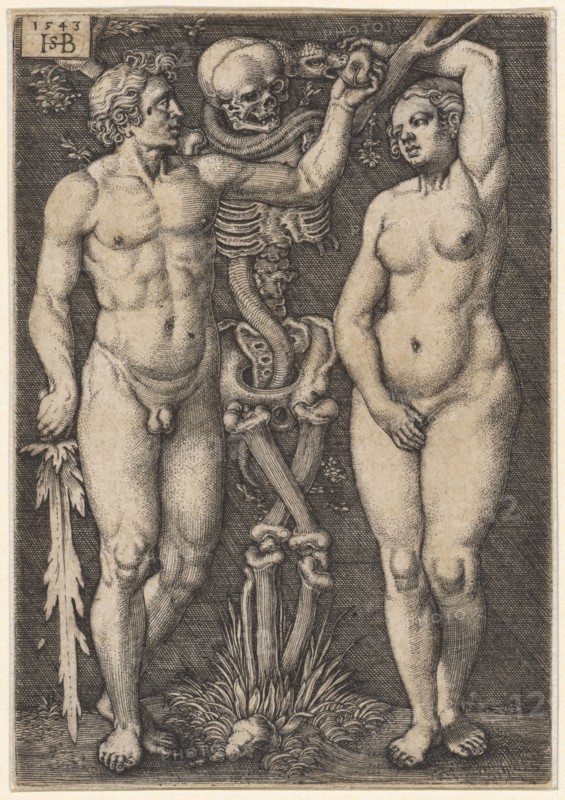 Adam and Eve, 1543, copperplate engraving, sheet: 8.3 x 5.7 cm, O. l., dated and monogrammed: 1543, HSB [lig.], Sebald Beham, Nürnberg 1500–1550 Frankfurt a.M.