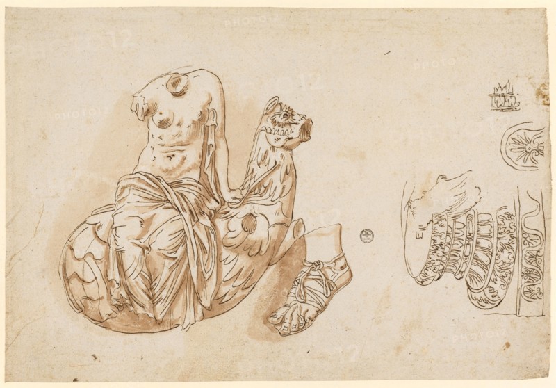 Torso of a Nereid on a Hippocampus, a left foot with sandal, columnar base and base plate, 1541/47, feather in brown, maroon in red brown, Leaf: 20.6 x 30.1 cm, Verso o. R., numbered with red chalk: 30, Frans Floris de Vriendt I., Antwerpen 1519/20–1570 Antwerpen