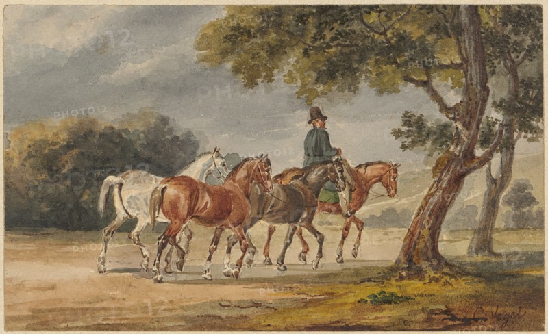 Rider with three saddled horses, watercolor, verso: pencil, leaf: 8.5 x 14 cm, U. r., Signed in brown with pen: C. Vogel, Carl Christian Vogel von Vogelstein, Wildenfels 1788–1868 München