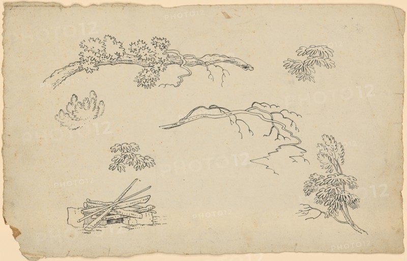 Character template: Six branch and foliage studies., Bottom left hearth with layered wood, feather, leaf: 34.8 x 22 cm, Not marked, Johann Rudolf Follenweider, Basel 1774–1847 Basel