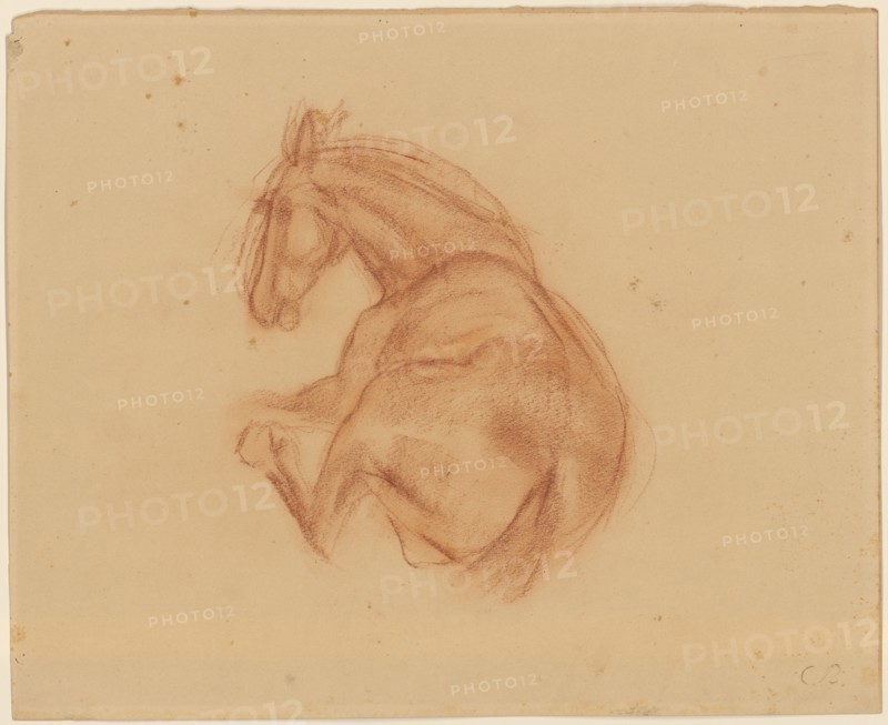Horse lying, red chalk, leaf: 32 x 39.5 cm, U. r., Monogrammed in chalk in brown: CB, Carl Burckhardt, Lindau/Zürich 1878–1923 Ligornetto/Tessin