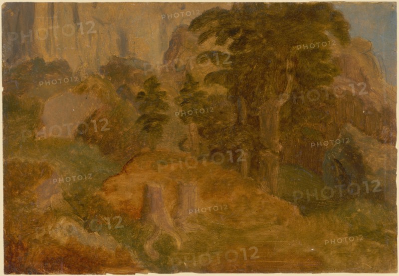 Rocky slopes and tree parts at the Rigi, oil on oiled paper, mounted on cardboard, sheet: 20.6 x 29.8 cm, not marked, Ludwig Adam Kelterborn, Hannover 1811–1878 Basel
