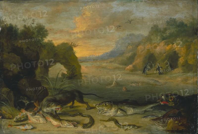 Jan van Kessel the Elder, Flemish, 1626-1679, Water, between 1660 and 1670, oil on copper, Framed: 14 7/8 × 18 1/4 × 2 3/8 inches (37.8 × 46.4 × 6 cm)