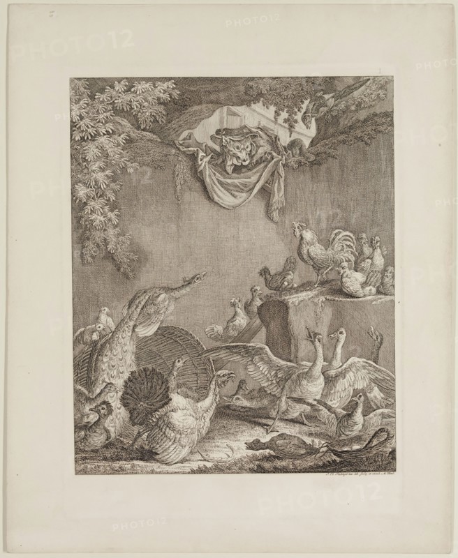 Johann Elias Ridinger, German, 1698-1769, Apparition of the Fox, 18th century, etching printed in black ink on wove paper, Plate: 13 1/4 × 10 inches (33.7 × 25.4 cm)