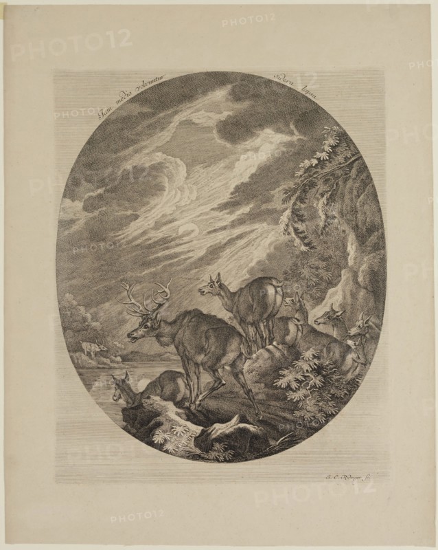 Johann Elias Ridinger, German, 1698-1769, Deer in Flight Arrested by a Lake, 18th century, engraving and etching printed on wove paper, Plate: 13 5/8 × 11 inches (34.6 × 27.9 cm)