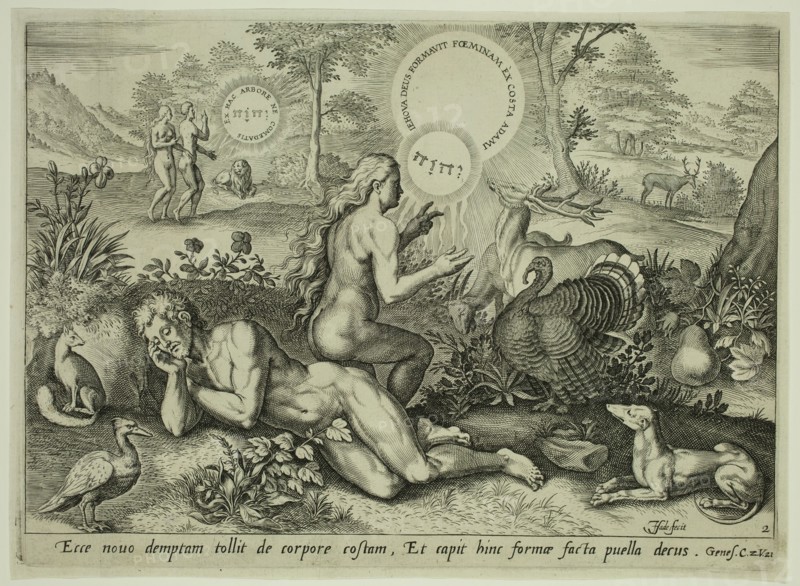 Johannes Sadeler, Netherlandish, 1550-1600, after Crispin van den Broeck, Netherlandish, 1524-1591, Creation of Eve, late 16th century, engraving printed in black ink on laid paper, Plate: 7 5/8 × 10 1/2 inches (19.4 × 26.7 cm)