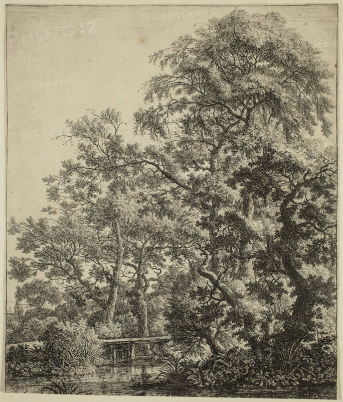 Anthonie Waterloo, Dutch, 1610-1690, Small Bridge over a Stream, 17th century, etching and drypoint printed in black ink on laid paper, Sheet (trimmed into image area): 10 7/8 × 9 1/4 inches (27.6 × 23.5 cm)