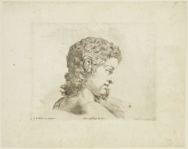 Stefano della Bella, Italian, 1610-1664, Head of a Young Man, Profile Turned Right, ca. 1641, etching printed in black ink on laid paper, Plate: 4 3/4 × 6 1/8 inches (12.1 × 15.6 cm)