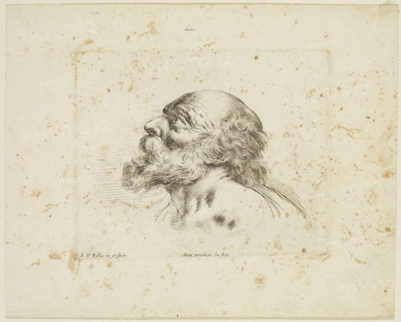Stefano della Bella, Italian, 1610-1664, Head of an Old Man, ca. 1641, etching printed in black ink on laid paper, Plate: 4 3/4 × 5 3/4 inches (12.1 × 14.6 cm)