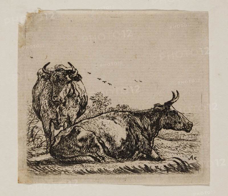 Aelbert Cuyp, Dutch, 1620-1691, Cows, between 1620 and 1691, etching printed in black ink on laid paper, Plate: 2 5/8 × 3 inches (6.7 × 7.6 cm)