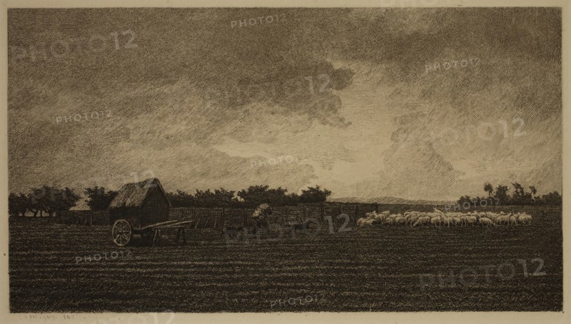 Unknown (French), after Charles François Daubigny, French, 1817-1878, Le petit parc a moutons, ca. 1847, heliogravure printed in black ink on laid paper, Plate: 5 5/8 × 9 1/4 inches (14.3 × 23.5 cm)