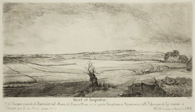 William Baillie, English, 1723-1810, after Rembrandt Harmensz van Rijn, Dutch, 1606-1669, Landscape with Old Tree, 1760, etching and drypoint printed in black ink on wove paper, Plate: 7 × 12 inches (17.8 × 30.5 cm)
